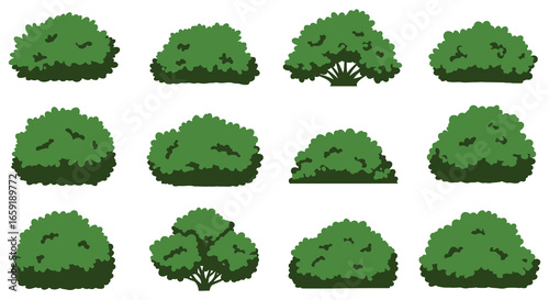 Collection of various green bushes and shrubs in different shapes and sizes