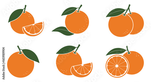A set of oranges with leaves and slices on a white background
