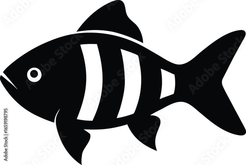 vector illustration of a fish