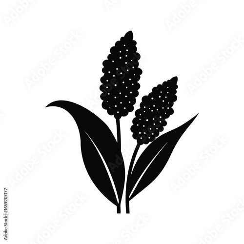 Bild auf Leinwand Stylized Black and White Sorghum Plant Depiction with Leaves and Seed Heads, Sor