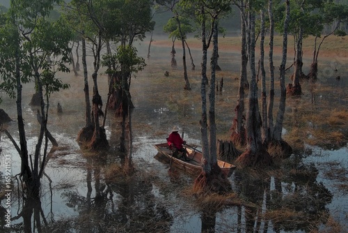 fishing in the woods