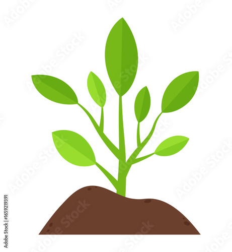 tree with green leaves soil branch nature growing illustration clipart
