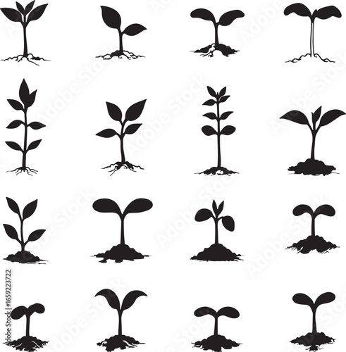 Collection of sixteen black and white seedling illustrations representing plant growth stages