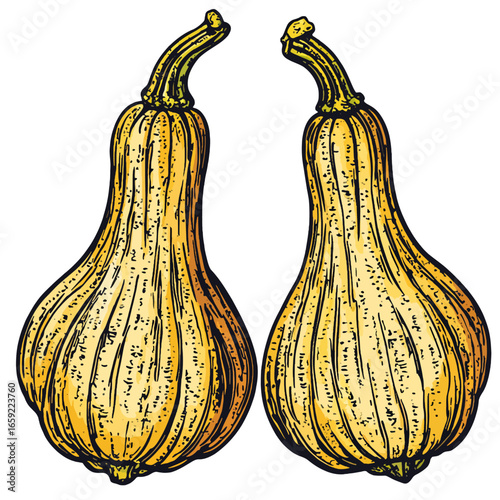 Gourd isolated on white 