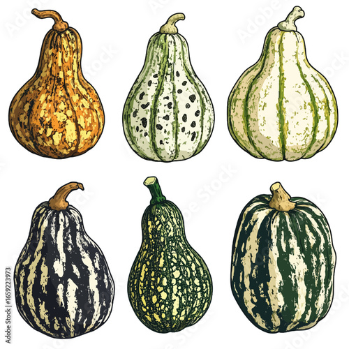 Set of gourd 