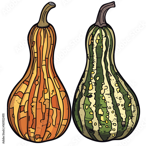 Gourd vector illustration 