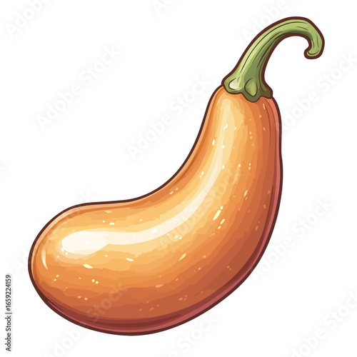 Illustration of a gourd 