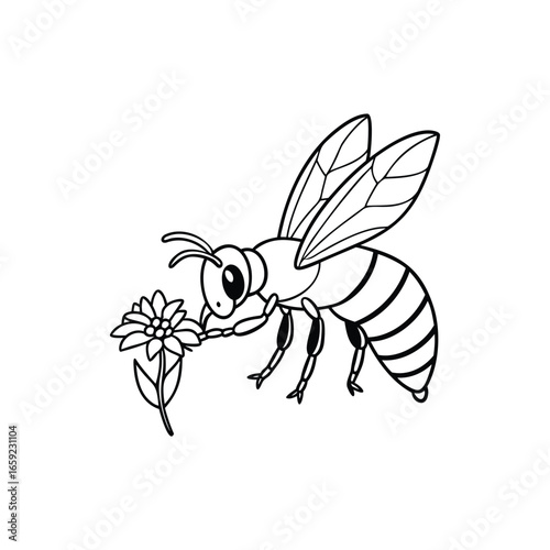 Outlined Illustration of a Bee Collecting Pollen from a Flower on White