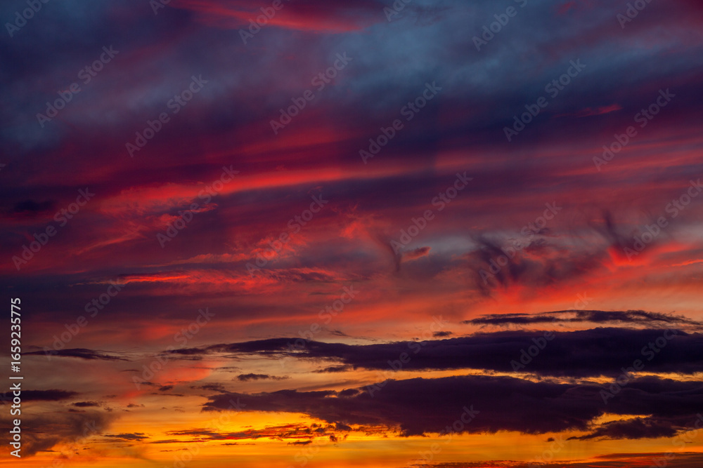 Obraz premium 朝霧の日の日の出。