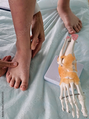 Medical professionals examine a patient foot using an anatomical model