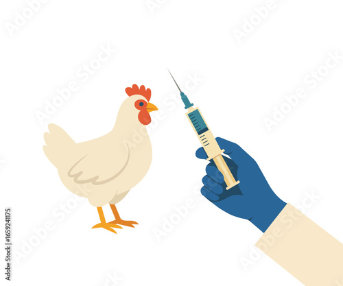 Veterinarian hand in blue glove holding a syringe near a chicken. Clean isolated vector symbolizing poultry vaccination, farm biosecurity, animal health and disease prevention.