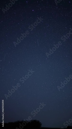 Shooting stars falling over dark forest at night