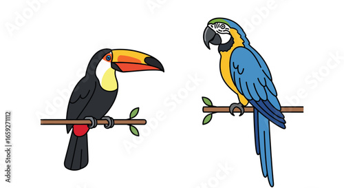 Colorful Toucan and Macaw Parrot Illustration on Branches