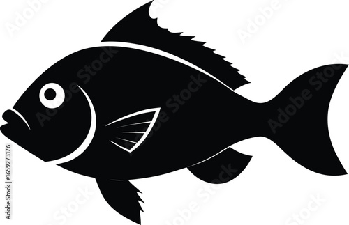 fish vector illustration