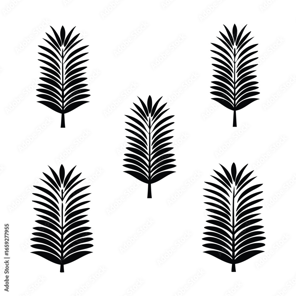Fototapeta premium Black Palm Leaf Silhouette Collection