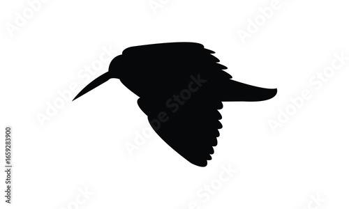 Flying American woodcock bird Silhouette Design  And Vector Illustration. 
