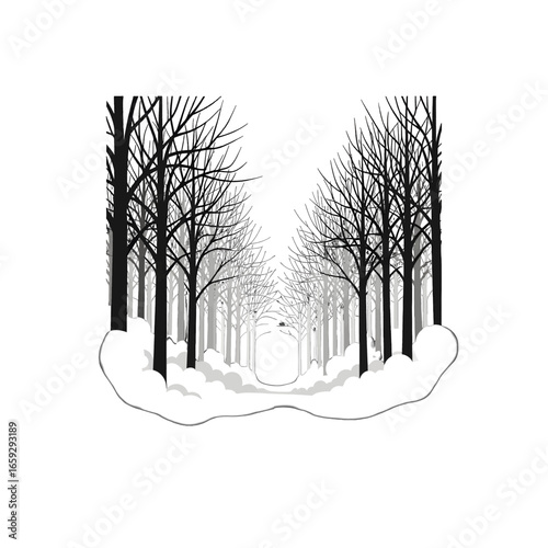 Bare Trees in Winter Landscape with Snow Covered Ground White Sky and Natural Light Creating a Cold and Serene Atmosphere in Minimalist Monochrome