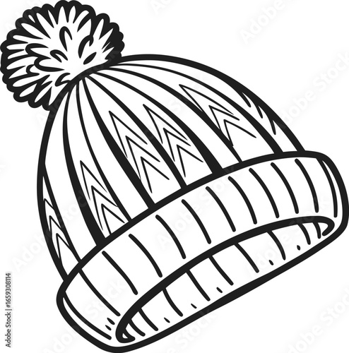 Warm Beanie with Pom Vector