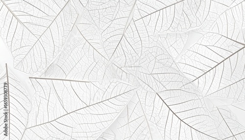 Nature Essence Minimal Patterns