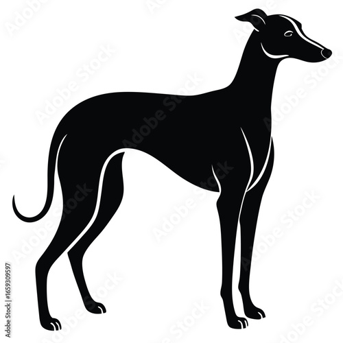 whippet vector