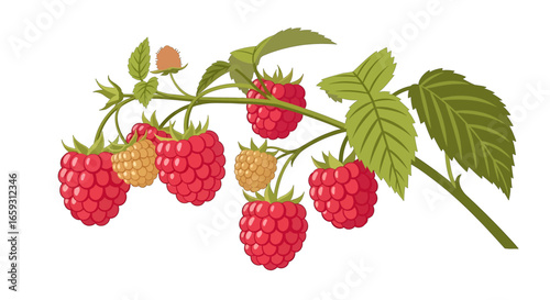 Pixelated Raspberry Branch with Green Leaves and Red Berries on a White Background