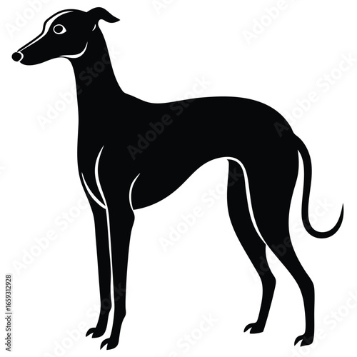whippet vector