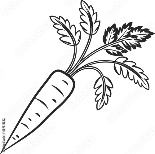 hand drawn vegetables