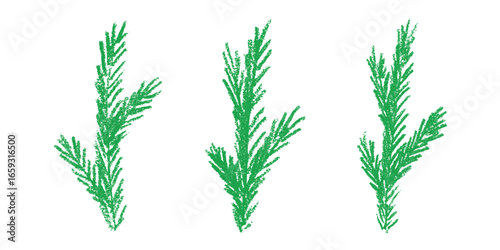 Set of hand drawn spruce branch clipart. Twig of coniferous tree doodle. Christmas and winter design element