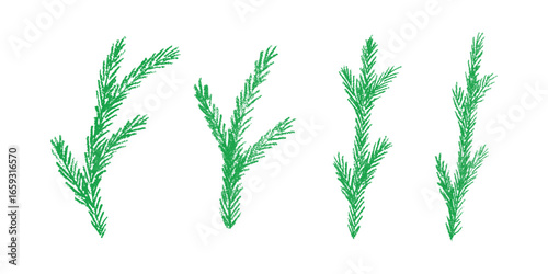 Set of hand drawn spruce branch clipart. Twig of coniferous tree doodle. Christmas and winter design element