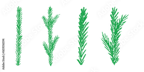 Set of hand drawn spruce branch clipart. Twig of coniferous tree doodle. Christmas and winter design element