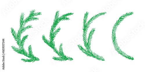Set of hand drawn spruce branch clipart. Twig of coniferous tree doodle. Christmas and winter design element