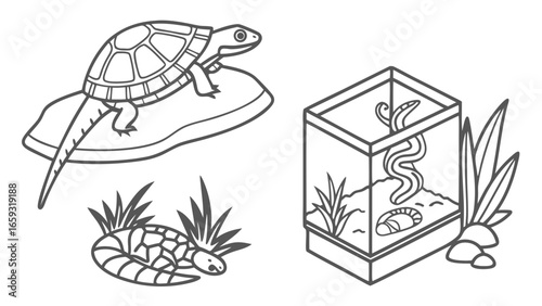 Reptile Icons Set – Lizard, Turtle, Terrarium, Rock, Plant, Habitat Illustration, Pet Reptile Care, Exotic Animals, Amphibians, Wildlife Symbols, Nature Line Art
