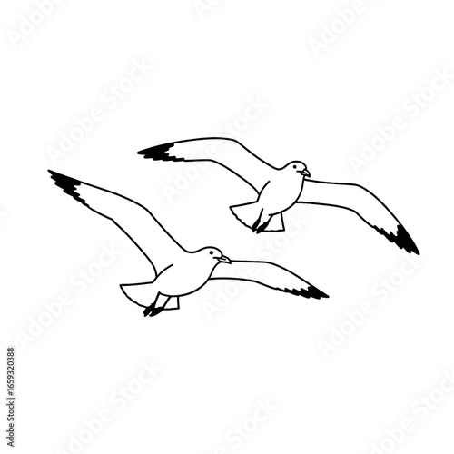 Two White Seagulls Flying Gracefully with Black Wingtips Against a Bright White Background Simple and Clean Illustration