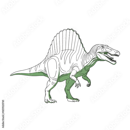 Outline Spinosaurus Illustration with Green Body Accents on White Background a Large Extinct Reptile with Prominent Dorsal Spines