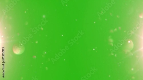 Glitter Wedding Overlay Green Screen | Sparkling Confetti, Celebration VFX Effect