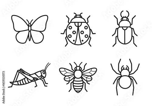 Line art icons of various insects, including a butterfly, ladybug, beetle, grasshopper, bee, and spider.