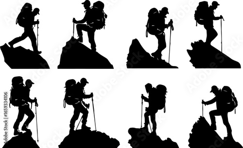 "Trailblazing Trio: Hiking in Sync"