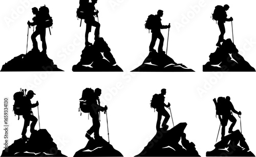 "Trailblazing Trio: Hiking in Sync"