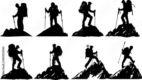 "Trailblazing Trio: Hiking in Sync"