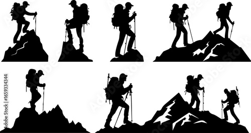 "Trailblazing Trio: Hiking in Sync"