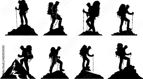 "Trailblazing Trio: Hiking in Sync"