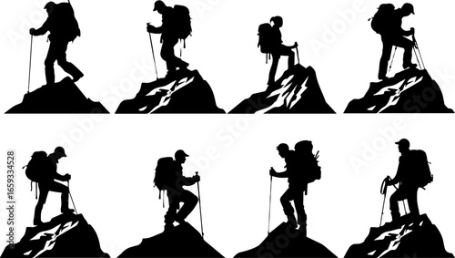 "Trailblazing Trio: Hiking in Sync"