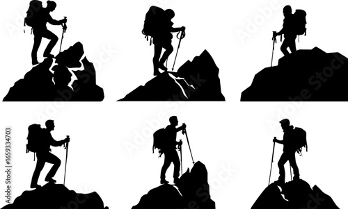 "Trailblazing Trio: Hiking in Sync"