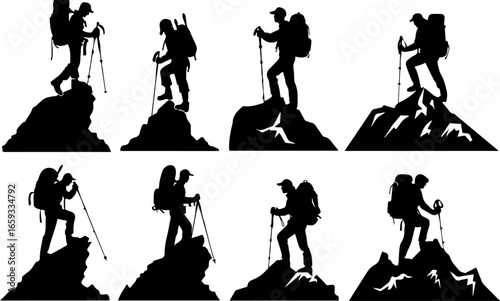 "Trailblazing Trio: Hiking in Sync"