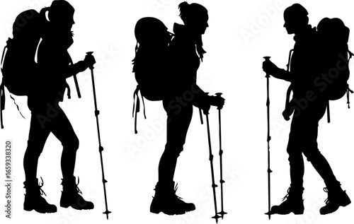 "Summit Seeker: Journey Through the Peaks"