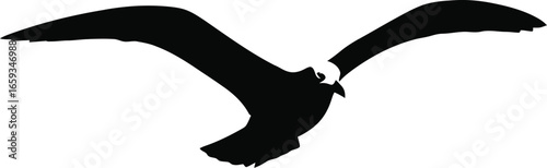 A black silhouette of a bird with its wings spread wide, captured in mid-flight against a white background.