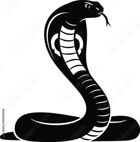 Illustration of a cobra with its hood spread, in black and white.
