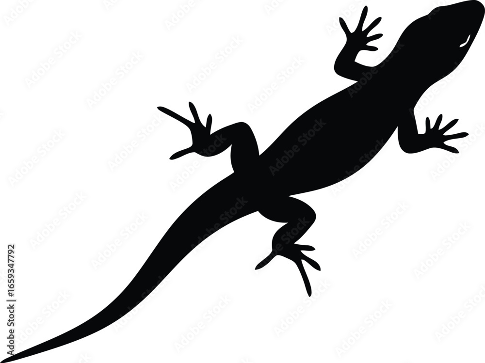 Fototapeta premium Black silhouette of a lizard viewed from above on a white background.