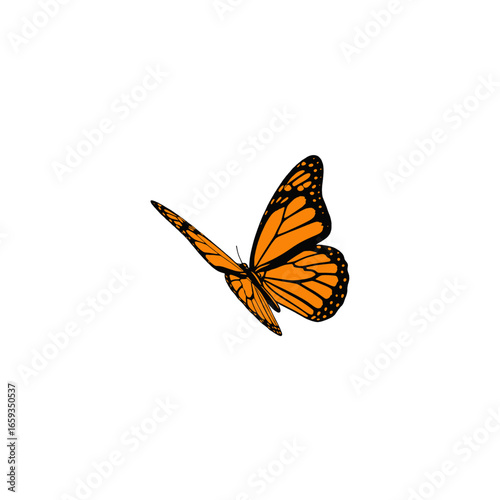 Flying Monarch Butterfly with Vibrant Orange Wings and Black Patterns on White Background Illustrative Depiction