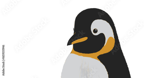 Isolated Penguin Headshot with Smooth Black and White Plumage Featuring Sleek Orange Accents on a Plain Background